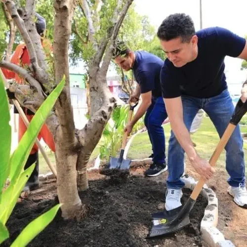 Prefeito David Almeida e vice Renato Junior realizam plantio de oliveiras na fase final do restauro da praça dos Remédios e destacam cuidado histórico e social no Centro