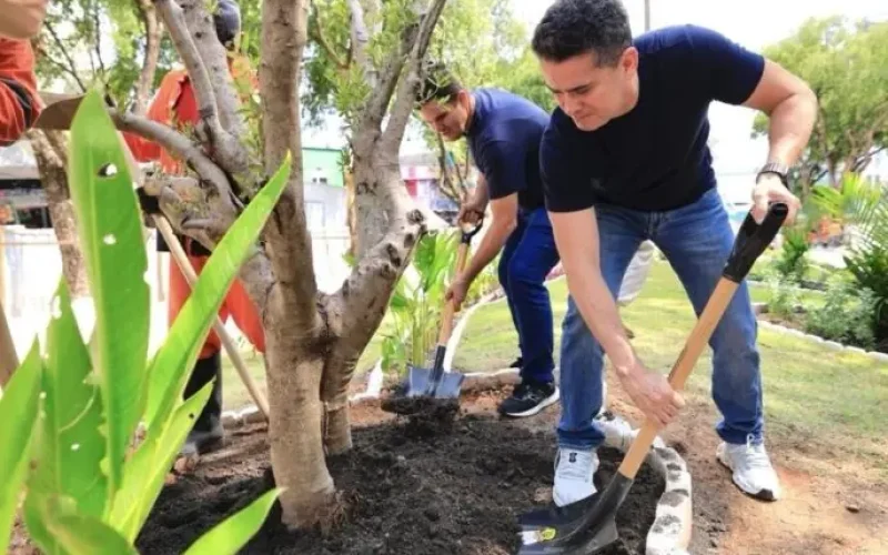 Prefeito David Almeida e vice Renato Junior realizam plantio de oliveiras na fase final do restauro da praça dos Remédios e destacam cuidado histórico e social no Centro